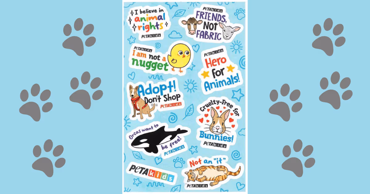 Free Halloween Stickers: 1 Spooky PETA Deal