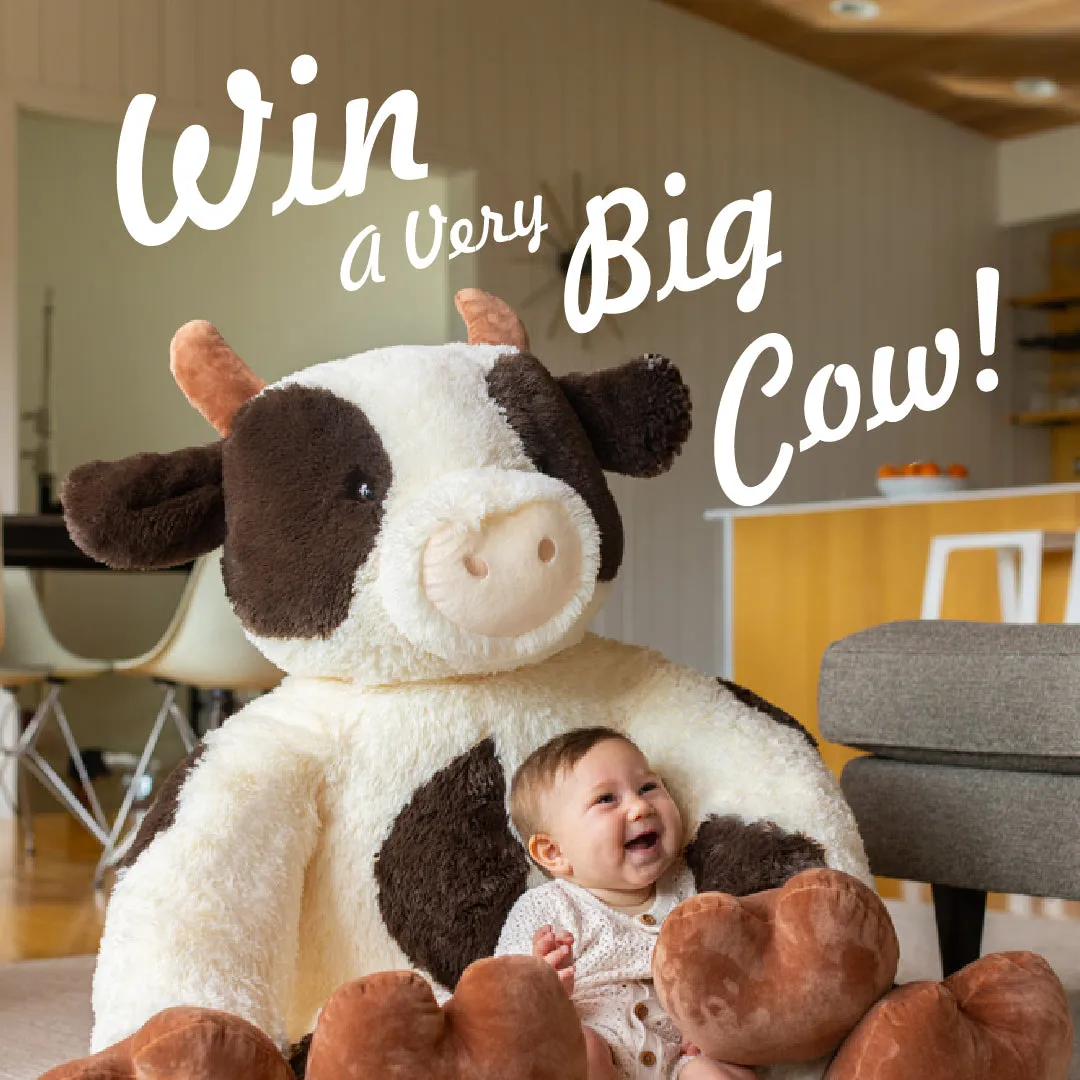 Free Vermont Teddy Bear 4ft Cow: Win a Giant Plush!